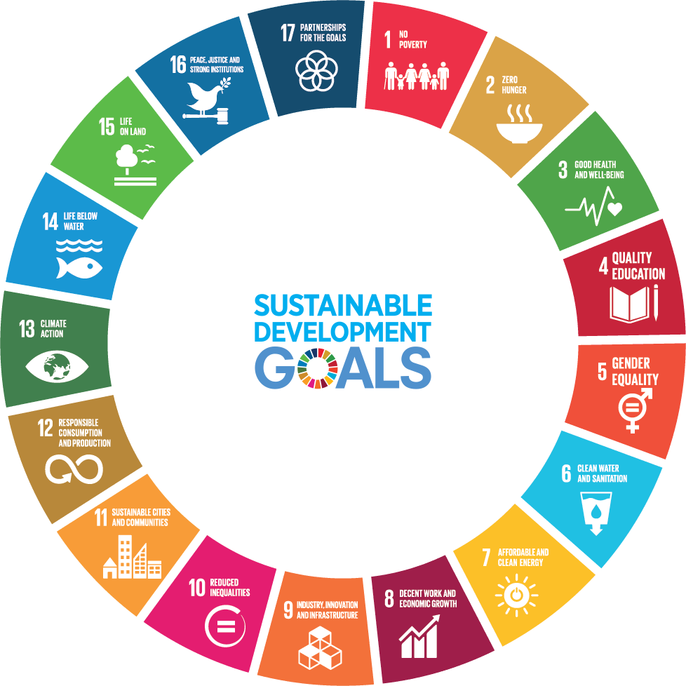 SDG_Wheel